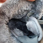 Чоловічі зимові кросівки Nike Air Force 1 (сірі) високі стильні кросівки 4036 Найк топ, фото 7