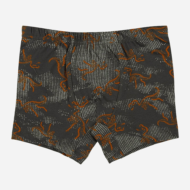 Труси для хлопчика Donella 751019, 4-5 років