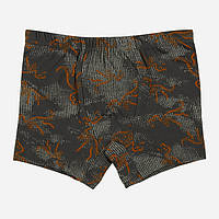 Труси для хлопчика Donella 751019, 4-5 років