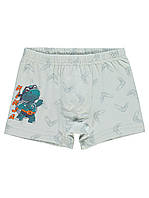 Труси для хлопчика Donella 751011NJ, 2-3 роки