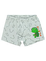 Труси для хлопчика Donella 751011NJ, 2-3 роки