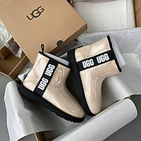Жіночі молочні Ugg w classic clear mini 36-40