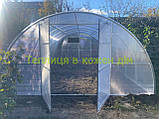 Теплиця "СТАНДАРТ" 4*6*2,10 (ш.д.в.) 24 кв. м., покрита полікарбонатом 6 мм, від виробника., фото 5