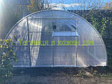 Теплиця "СТАНДАРТ" 4*6*2,10 (ш.д.в.) 24 кв. м., покрита полікарбонатом 6 мм, від виробника., фото 6