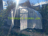 Теплиця "СТАНДАРТ" 4*8*2,10 (ш.д.в.) 32 кв. м., покрита полікарбонатом 4 мм, від виробника., фото 7
