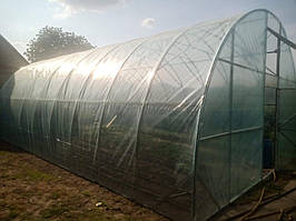 Фермерські теплиці