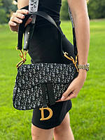 Женская сумка Dior 23*21*9 серая