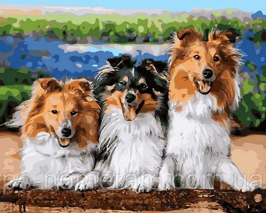 Рукітвор Картина за номерами (VP1438) Дружня сімейка, 40 х 50 см, DIY Babylon, фото 1