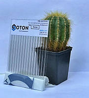 Полікарбонат стільниковий (ячковий) SOTON прозорий 4мм 2,1*6м