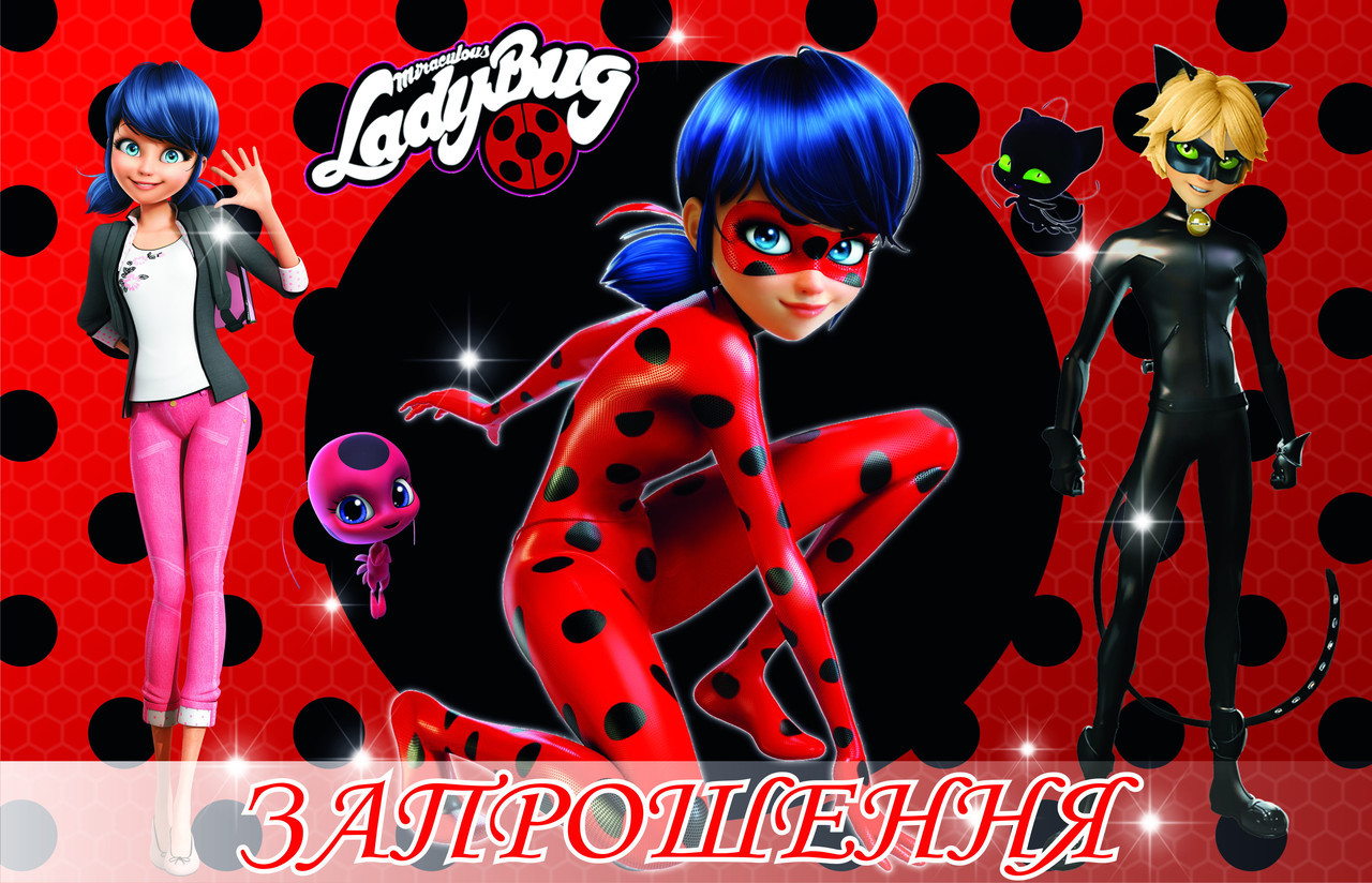 Запрошення на день народження дитячі " Леди Жyк" 10 шт