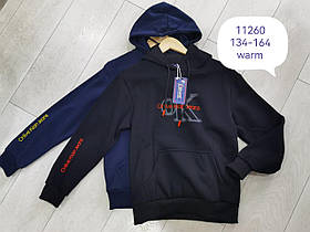 Толстовка утеплена для хлопчиків, Grace, 158 см,  № В11260