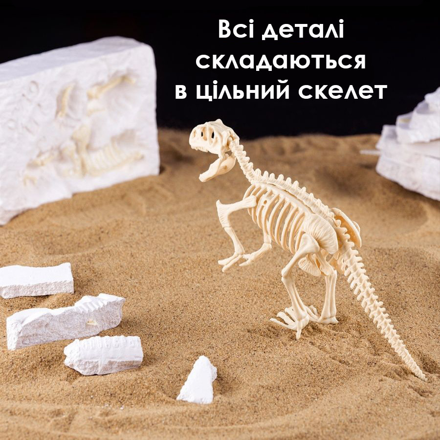 Развивающий набор раскопки динозавров "Found Jurassic" / Игры раскопки - фото 5 - id-p2005534913