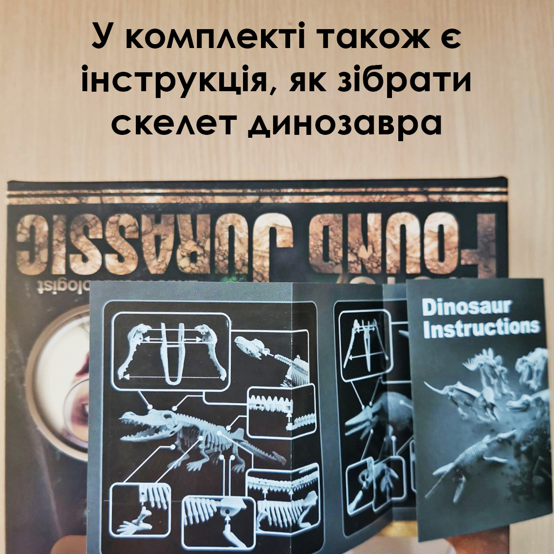 Развивающий набор раскопки динозавров "Found Jurassic" / Игры раскопки - фото 10 - id-p2005534913