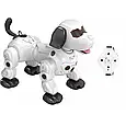 Собака-робот на радіокеруванні Robot Dog 777-602, Пукає парою, сенсорні зони, реагує на хлопавку, фото 4