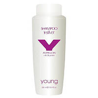 Young Shampoo Y-Silver Антижелтый шампунь для волос 300мл