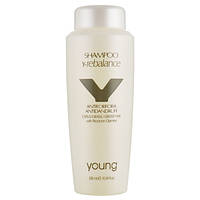 Young Shampoo Y-Rebalance Шампунь против перхоти 300мл