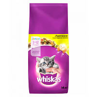 Сухой корм для кошек Whiskas с курицей для котят 14 кг (5900951014369) - Топ Продаж!