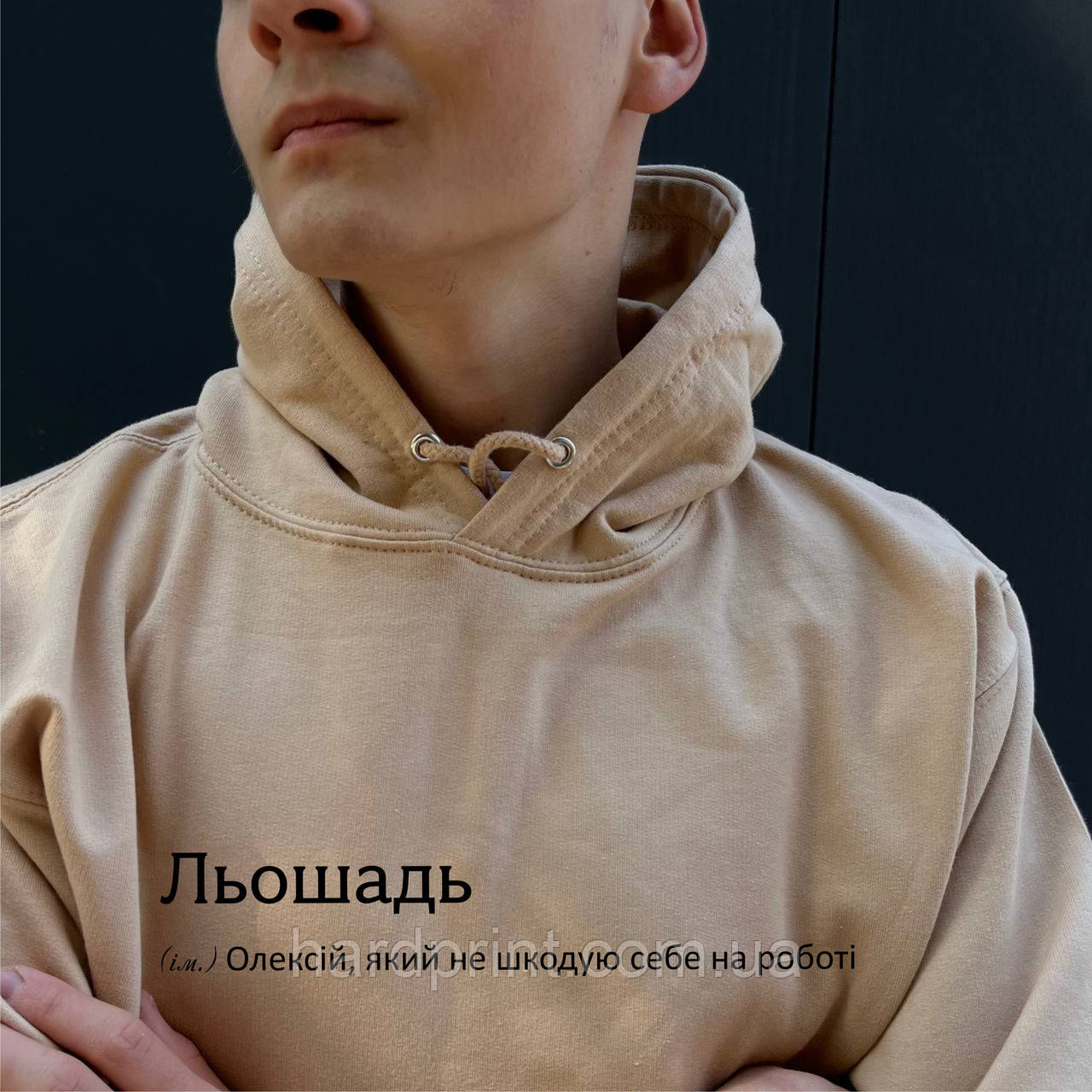 Чоловіче худі. Тепле худі. Друк на худі з вашим ім'ям Льошадь. Толстовка для Льоші..