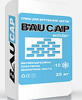 Клей для кладки кирпича при отрицательных температурах BAUCAP Winter от производителя