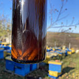 Настоянка личинок воскової молі 100 мл, фото 6