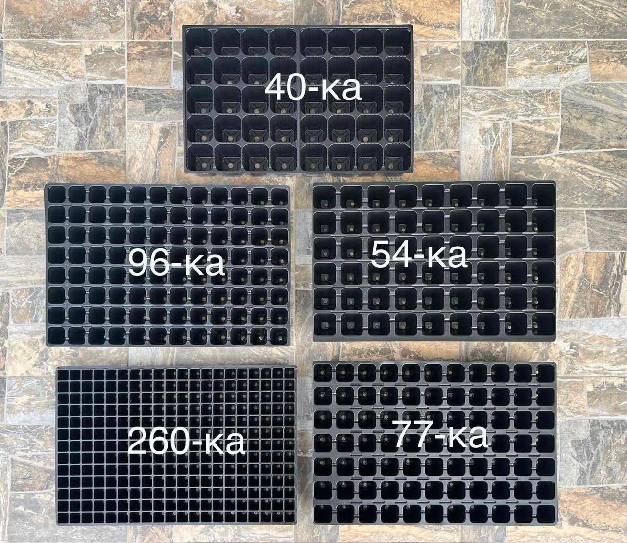 Касета для розсади 40 комірок (40*60см)