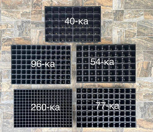 Касета для розсади 260 комірок (40*60см) товщина 0.55мм, фото 1