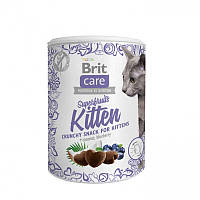Ласощі для кошенят Brit Care Superfruits з куркою, кокосом та чорницею 100г