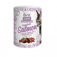 Ласощі для стерилізованих котів Brit Care Superfruits з лососем, шипшиною та журавлиною 100г