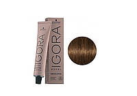 Краска для волос Igora Royal Absolutes 8-60 светло-русый шоколадный натуральный 60 мл