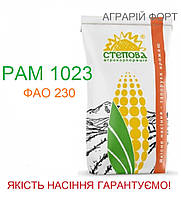 Кукурудза РАМ 1023. Оригінальне насіння кукурудзи. Посівна кукурудза ФАО 230
