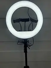 Професійна кільцева led Rl 14 лампа 36 см Кільцева світлодіодна led, фото 3