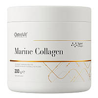 Препарат для суставов и связок OstroVit Marine Collagen, 200 грамм Черная смородина