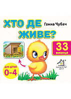 Кто где живет? 33 Оконца