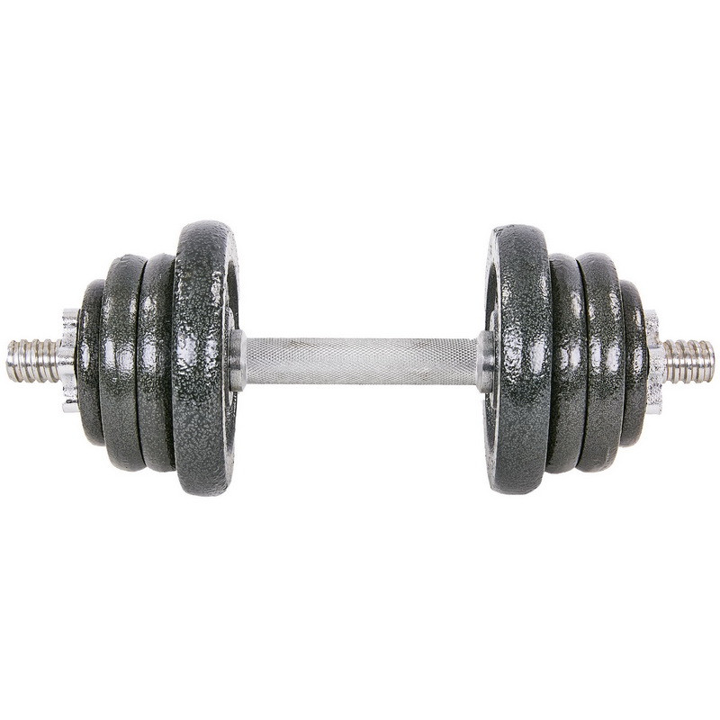 Гантель набірна (1 шт х 12,5 кг ) сталева  TA-8213-25, фото 1