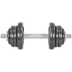 Гантель набірна (1 шт х 12,5 кг ) сталева  TA-8213-25