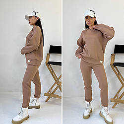 Жіночий зимовий спортивний костюм двійка на флісі кофта-худі та штани, норма і напівбатал