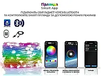 Світлодіодна смарт-гірлянда нитка 10 м 100 LED Світлодіодна новорічна гірлянда на ялинку USBRGB (Гірлянди)