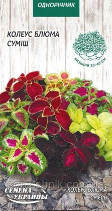 Колеус Блюма суміш 0,05г НУ, фото 1