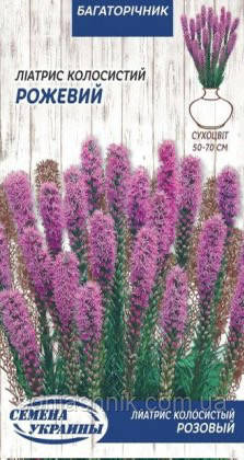 Ліатрис Колосистий РОЖЕВИЙ 0,2г багаторічний, фото 1