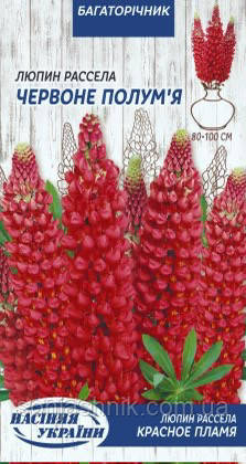 Люпин Рассела Червоне полум'я 0,5г