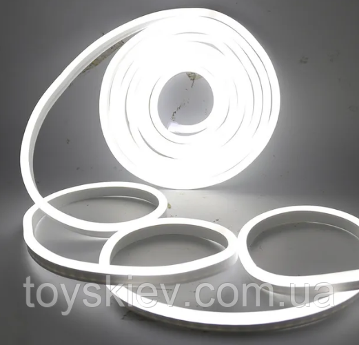 Стрічка силіконова LED NEON Білий 5м 12V-220V /0719, фото 1