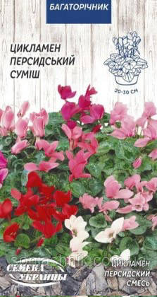 Цикламен Персидський суміш 5шт