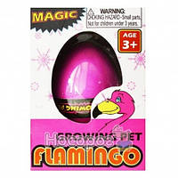 Іграшка-напухашка 8095 яйця фламінго 6 см кожна в індивідуальному пакованні