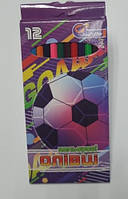 Олівці дерево 12 кольорів No7303A4-12 Футбол у картоні