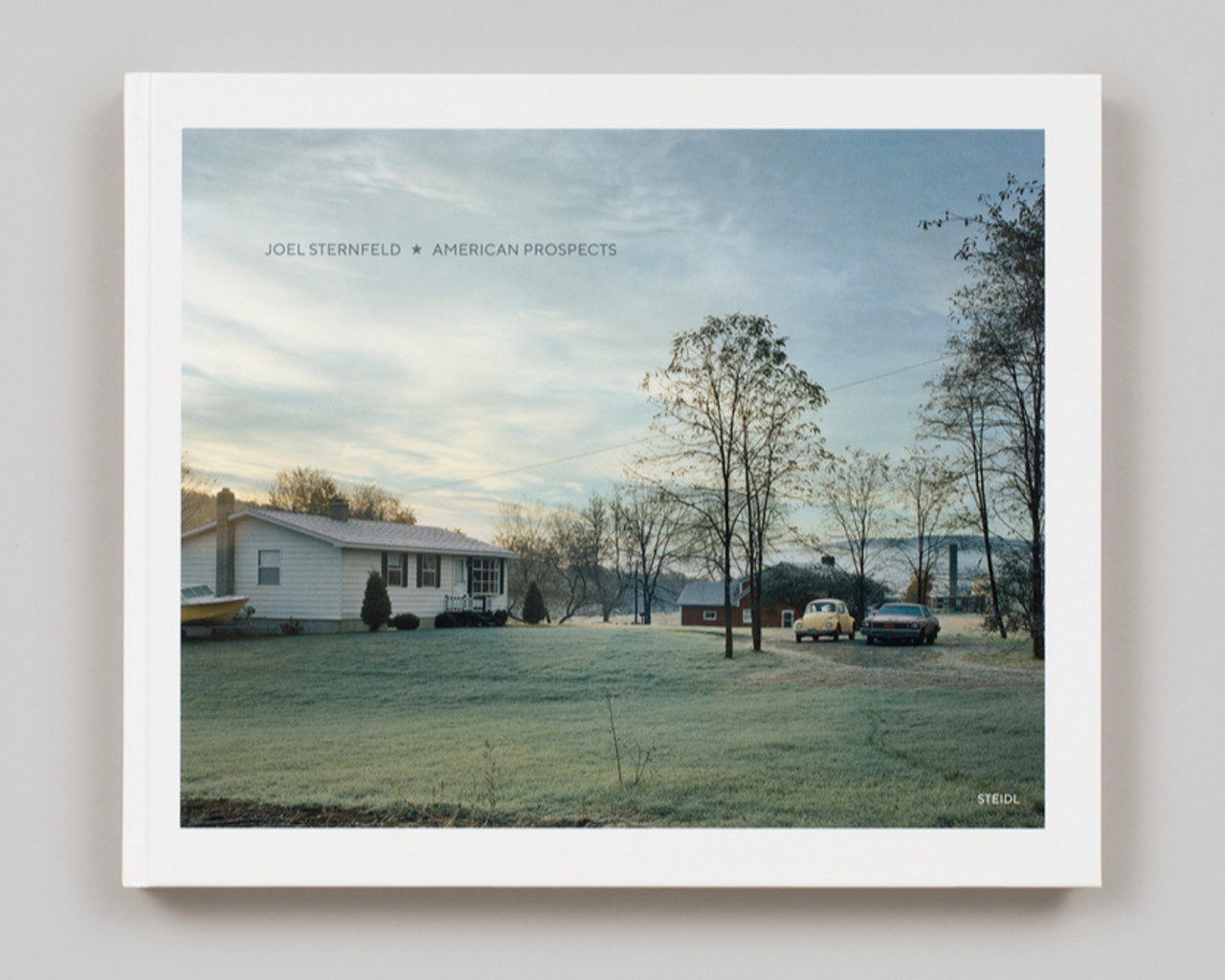Книга альбом відомих фотографів про Америку Joel Sternfeld: American Prospects книги для фотографів, фото 1