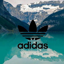 Зимові жіночі Adidas