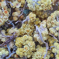 100 г бессмертник песчаный цвет сушеный (Свежий урожай) лат. Helichrysum arenarium