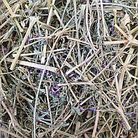 100 г дымянка/рутка лекарственная трава сушена (Свежий урожай) лат. Fumaria officinalis