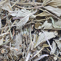 100 г суниця лісова лист сушений (Свіжий урожай) лат. Fragaria vesca
