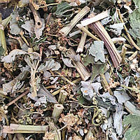 100 г таволга/лабазник/гадючник вязолистый трава сушеная (Свежий урожай) лат. Filipéndula